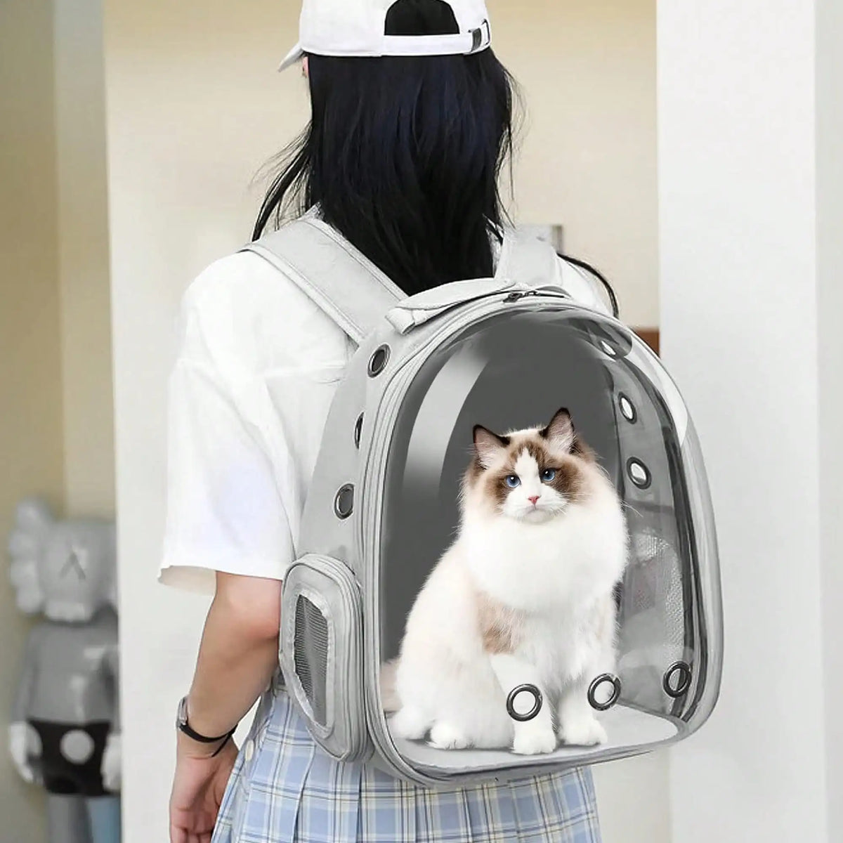 Capsule cat backpack with window