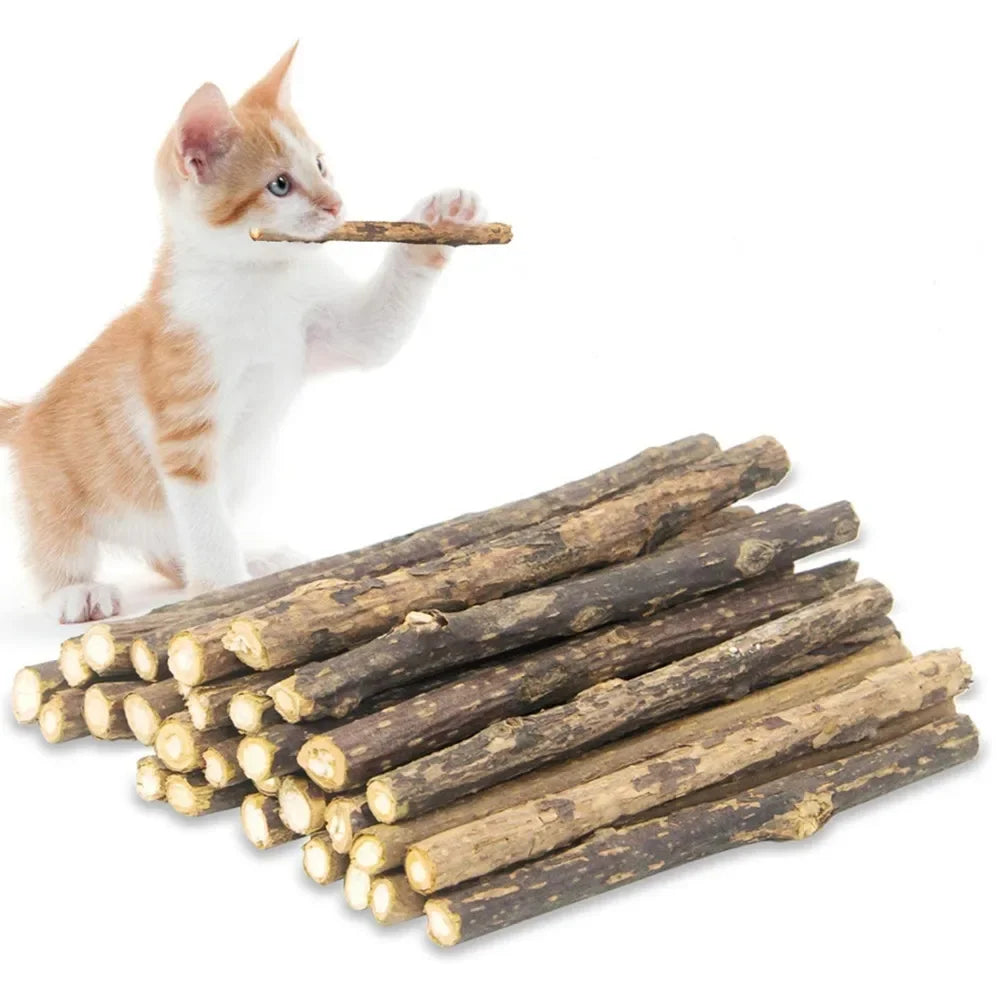 Bastoncini di matatabi per gatti