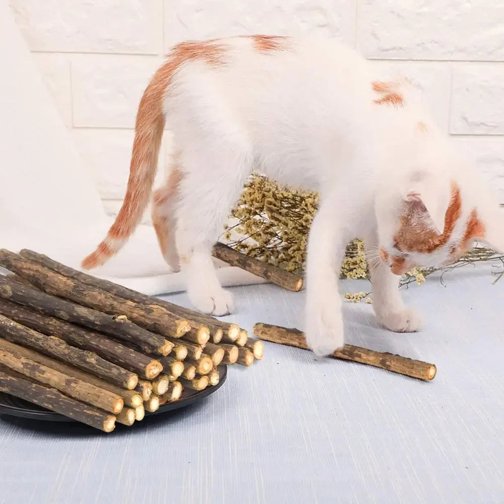 Bastoncini di matatabi per gatti