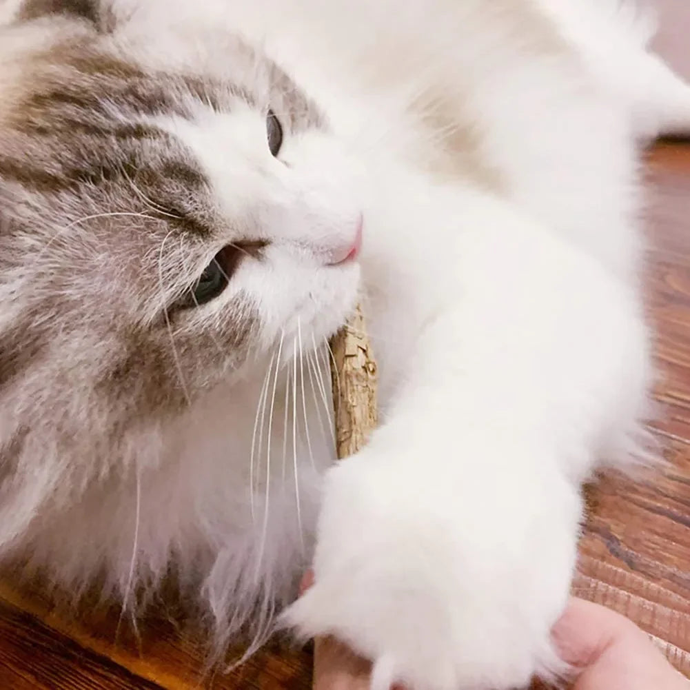 Bastoncini di matatabi per gatti