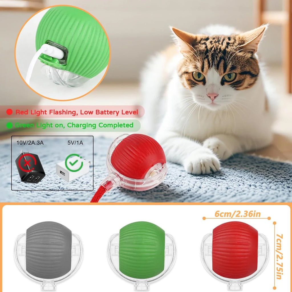 Selbstrollender Ball mit Schwanz für Katzen und kleine Hunde