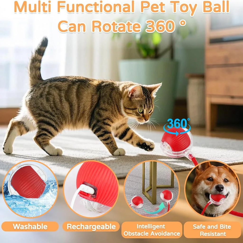 Selbstrollender Ball mit Schwanz für Katzen und kleine Hunde